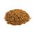 Crunchy Critters Edible Insects Half a pint of Mealworms - 59g