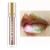 Maydear chameleon lipstick  Long Lasting Waterproof Colourful Diamond Shimmer Lip Gloss for Women Girls Makeup kit - brown green 2