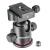 NEEWER Tripod Ball Head 360 Panoramic All Metal with Arca Type Quick Release Plate, 1/4" Screw 3/8" Thread Mount, Max Load 17.6lb/8kg, Tripod Head for Monopod, Slider, DSLR Camera, Camcorder (Red) Black
