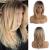 Esmee 16 inch long straight hair wigs for women ombre color black to blond naturally synthetic heat -resistant wigs with pony 16 inch blonde b