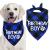 STMK Dog Birthday Bandana, Dog Birthday Boy Plaid Bandana Triangle Scarf for Medium Large Dog Birthday Supplies