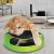 ASAB Cat Kitten Catch The Mouse Plush Motion Chase Toy For Pet Interactive Hide and Seek Hunt with Claw Care Moving Play Scratching Pad Mat Fun Exercise Toy For Active Kitten and Old Cats