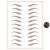 Brows by Bossy Studio & Co Temporary Eyebrow Tattoos Waterproof Eyebrow Stickers  False Tattoos Hair Like Peel Off Instant Transfer Brows For Women And Men arched ash brown