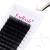 Individual classic 1: 1 eyelash extension 0.20mm C Curl Mix 8-14mm eyelashes Professional classic individual eyelash extension black natural mix (8-14) 0.20-c