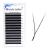 Y eyelash 2d eyelash fan 0.07mm thickness D curl mix 8-14mm eyelashes y form eyelash fan Yy eyelash extension 2D lashes wendy lashes yy lashes (y-0.07-d-8-14) 8-14mm 0.07-D