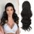BARSDAR Drawstring Ponytail Extension Long Wavy Curly Ponytail Hair Extensions for Women Synthetic Fluffy Hairpiece for Daily Use Party(16'' Darkest Brown) 16 Inch (Pack of 1) Darkest Brown