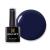 BLUESKY Gel Nail Polish Autumn/Winter 2020 Collection AW2021 Dark Blue Navy Blue (Requires Curing under UV/LED Lamp) Harbin Beauty 10 ml (Pack of 1) Navy Blue 10ml