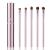 5Pcs Eyeshadow Brush Set, Portable Eye brushes, Premium Eye Makeup Brush, Eyeliner Brush, Angled Brush by YUESHENNAN (pink).