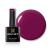 Bluesky Gel Nail Polish Tinted Love 80557 Dark Red Long Lasting Chip Resistant 10 ml (Requires Drying Under UV LED Lamp) Dark Red 10.00 ml (Pack of 1)