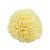 Neptune Natural Sea Wool Sponge - All Natural Honeycomb Renewable Sea Sponge  Large  Approx. 5 Inches 4.5-5.5 Inch (Pack of 1)