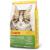 Josera Kitten Grainfree (1 x 2 kg) |Cereal -free cat food with salmon oil |Super premium dry food for growing cats1 Pack 2 kg (1 Pack) single