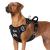 Eyein No Pull Dog Harness Large Comfortable Heavy Duty Pet Vest Harness Front Clip Easy Control Puppy Harness with Soft Padded Handle Reflective for Outdoor Training Walking(Black L) Black L(Neck: 42-60cm Chest: 47-86cm)