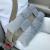 Stoma security belt cushion stoma safety belt protection stoma bag cover ileostomy stoma accessories urostomy belt pillow for peritoneal dialysis pd catheter ladies men minky dot gray