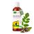 MORIVEDA - MORINGA Oil Basic 100ml from Moriveda pressed from Oleifera seeds and pods for skin care hair care wound care anti -aging Behen l (1x100ml) Moringa basic oil skin care 100 ml
