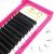 Self-fan eyelids .03 .07.10 Easy fan lashes for volume technology C D CURL WIMPernExtensions Volume eyelashes 8-15 Mixed lengths (8-15 mix C-0.03) 8-15 MIX C-0.03