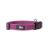 JULIUS K-9 225CG-PN Color and Gray collar 25mm x 39 - 65 cm adjustable pink-gray without handle 25 mm (39-65 cm) pink-gray