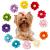 BIPY 20PCS Dog Hair Bows with Rubber Bands for Puppies Cats Pet Kitten Valentine s Day Wedding Festival Grooming Accessories Attachment