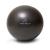 ProBody Pilates Mini Exercise Ball - 9 Inch Small Bender Ball for Stability, Barre, Pilates, Yoga, Balance, Core Training, Stretching and Physical Therapy with Workout Guide Black