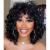 Porsmeer afro wig women Synthetic Large Loose Wig Natural Hair for Women Men Kinky Curly with pony short wigs for black women (black)