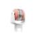 BeautyBio GloPRO Attachment Heads Lip Attachment Head