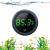 Aquarium Thermometer Digital, PAIZOO Fish Tank Thermometer Accurate LED Display to 0.9F Tank Thermometer Aquarium Temperature Measurement Suitable for Fish, Axolotl, Turtle or Aquatic
