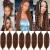 LEEVE 16 Inch Pre separated Springy Twist Hair for Afro Marley Locs 8 Packs Pre-Fluffed Popping Spring Twist Crochet Hair for Distressed Locs Afro Kinky Marley Braiding Hair Extensions /30 Inch (Pack of 8) 30#