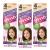 Bigen Speedy Conditioning Color Refill: 4 Chestnut - 3 Pack
