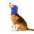 cobee Dog Snood for Dog Neck and Ears Warmer Pet Dog Earmuff for Comfort Anti-anxiety Bathing Grooming Reducing Noise Dog Neck and Ear Warmer Hood Calming Pet Snood Ear Covers (M Size Blue)