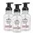 J.R. Watkins Foaming Hand Soap with Pump Dispenser Moisturizing Foam Hand Wash All Natural Alcohol-Free Cruelty-Free USA Made Rosewater 9 fl oz 3 Pack