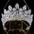 Aoligrace Luxury Tall Cubic Zirconia Tiaras and Crowns for Women CZ Pageant Birthday Headpiece Party Bridal Hair Accessories A-Silver