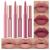 BestLand 6Pcs Matte Liquid Lipstick and Lip Liner Set  Non-Stick Cup Not Fade Waterproof Nude lipstick Makeup Kits Velvety Nude Lipliner Lip Gloss Make Up Gift Set (Set A)