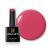 Bluesky Gel Nail Polish Lobster Roll 80552 Bright Red Long Lasting Chip Resistant 10 ml (Requires Drying Under UV LED Lamp) Lobster Roll 10 ml (Pack of 1)