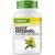 Nighting primrose oil - 365 capsules - high -dose with 2000 mg per daily dose - Premium: 10% gamma -linolenic acid GLA with natural vitamin E & cold -pressed -