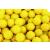 Valken Fate Paintballs - 50 Caliber - 2,000ct - White Fill-Shell Colors Varies