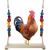 QIODAZOO Chicken Swing Perch Natural Wood Hanging Swing Toys for Chicken Coop/Birdcage Bird Swing Large for Hens Parakeets Macaw