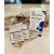 Evivo Infant Probiotic Powder - Pack Of 3