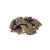 Citadel Black MTG Buff Counters Expansion Set of 30 Metal Tokens - with Velvet Drawstring Pouch Antique Gold & Copper Finish Metal Tokens Magic: The Gathering