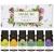 ASAKUKI Essential Oils Set Starter Kit Essential Oils for Diffusers for Home Top6 Aromatherapy Oils Gift Set- 6 Bottles*10mL(Lavender Eucalyptus Lemongrass Tea Tree Sweet Orange Peppermint)