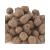 Double Dipped Peanuts Milk Chocolate Covered Peanuts 2 pounds