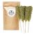 Sivifood Kandiszucker Sticks with mint 10 pieces - Goldener Kandis on the stem for tea green mint sugar on the rod Kandissticks to give away peppermint mint peppermint gift decoration stick peppermint