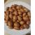 Bitter Kola Nut Garcinia Kola Cola 1 Lb