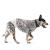 Amazon Basics Male Dog Wrap, Disposable Diapers Medium Pack of 30