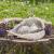 Cat Memorial Stone Cat Statue Cat Tombstone Cat Memorial Gravestone Cat Grave Marker Angel Cat Memorials & Funerary Cat Sculpture Stone Mini Resin Weatherproof Figure for Garden (4.33*3.14in)