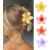 IOSPKKIO 4 pieces of flower hair clips strong hold large clamps for thick hair non-slip hair clips for women Hawaiian flower clamps 4 colors Style1