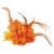 Flower Feather Bead Corsage Hair Clips Fascinator Hairband and Pin (Orange)