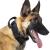 OneTigris Dog Collar with Metal Buckle for Dogs (Black XL) XL Black