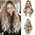 Esmee 24"Long Wavy Wigs for Women Brown Ombre Ash Blonde Hair Heat Resistant Synthetic Wigs for Daily Parties and Role Playing