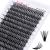 Eyelashes Individual cluster for eyelash extensions 40d 0.07 D Curl Mix 15-20mm Individual clusters Artificial eyelashes eyelashes for beginners 15-20 mm DH-40D-0.07-D