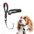 HALTI Optifit Headcollar Size Medium Dog Head Harness to Stop Pulling on the Lead Easy to Use Adjustable & Reflective Head Collar for Dogs Professional Anti-Pull Training Aid Black