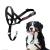 Halti head harness-prevents your dog from pulling on a leash simple adjustment light with padded nose strap anti-train neck band for large dogs (size 5 black) 5 black